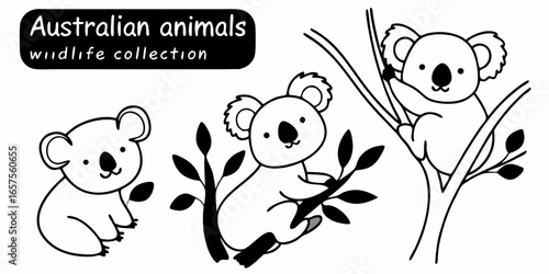 Illustration of three koalas in different poses sitting and climbing on trees in black and white style on transparent background