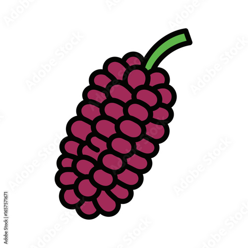 Illustration of a ripe mulberry fruit, depicted with a cluster of dark purple berries and a green stem, isolated on a white background.