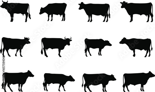 Silhouettes of cows and bulls in different poses.
