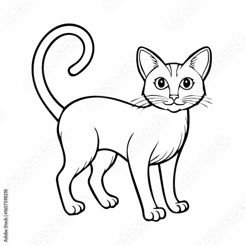 Elegant black and white line drawing of a cat in a frontal pose, a simple and clean illustration for coloring or design.