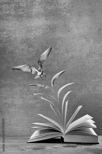 Open book on table with pages to become a flying bird in monochrome
