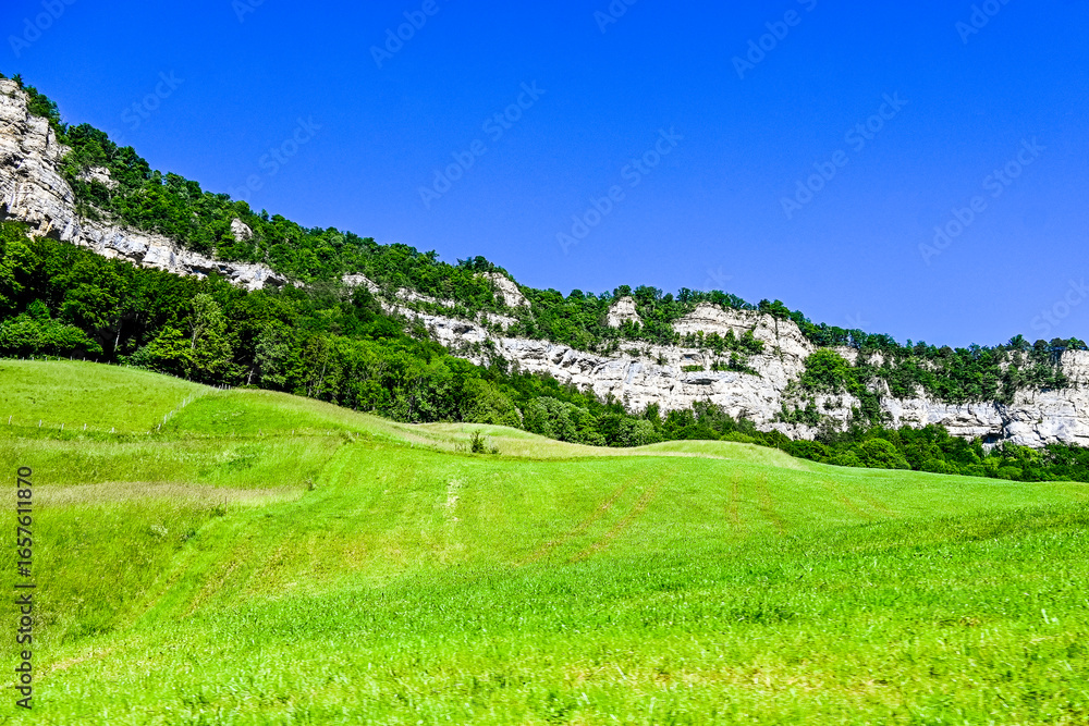 Fototapeta premium Passwang, Bergstrasse, Passwanghöhe, Ramiswil, Dorf, Jura, Landwirtschaft, Felder, Jurakette, Felsen, Sommer, Solothurn, Schweiz
