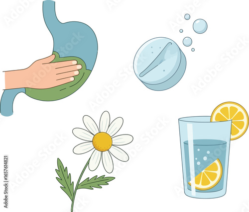Illustration showing a hand on a stomach, effervescent tablet, chamomile flower, and a glass of water with lemon.