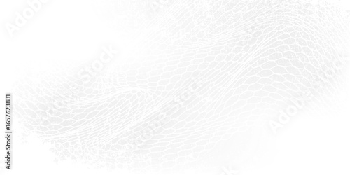 Fishing or soccer net. Repeated hexagon pattern. Black wired mesh texture isolated on white background. Metallic or fabric fence, cage or lattice structure.