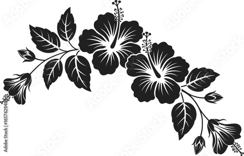 Black Hibiscus Flower Border on a Transparent Backdrop, Elegant Floral Decoration