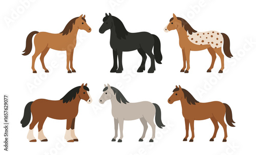 Colorful collection of flat style horses with diverse breeds and patterns