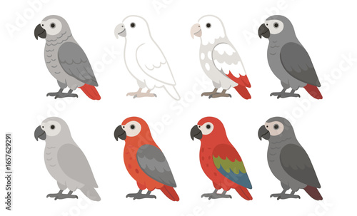 Colorful parrots variety in flat style - eight distinctive tropical bird designs