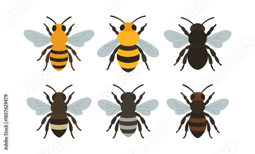 Collection of colorful bees in flat design style