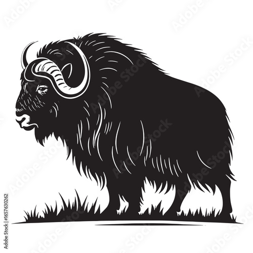black musk ox Silhouette Vector, High Quality Illustration on White Background