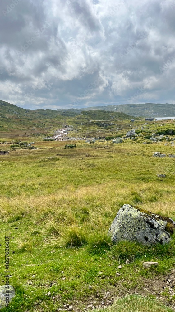 Scenic Upland Pastures in Rysstad Norway Scenic Upland Pastures in Rysstad Norway