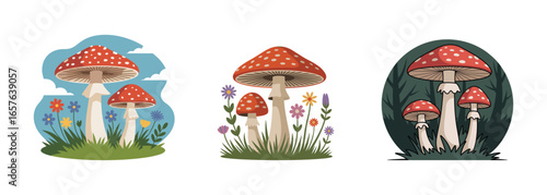 Vector art of collection of three illustrations of red and white spotted fly agaric mushrooms in different natural settings autumn vector clipart