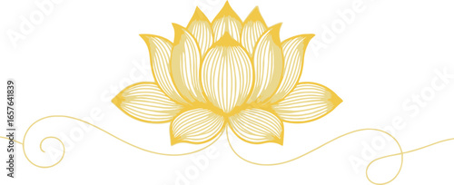 Golden Lotus Flower Detailed with White Background Serene Blossom