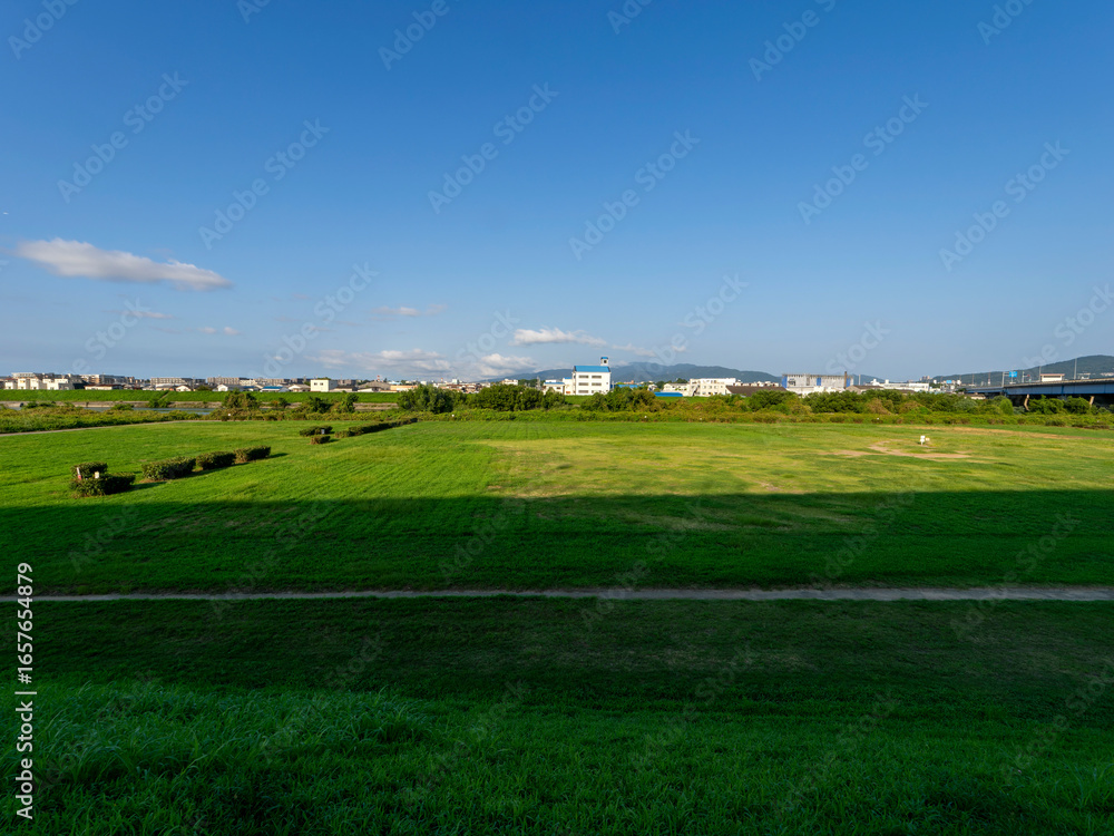 Fototapeta premium 緑が広がる猪名川河川敷の運動公園