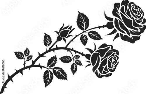 Rose Branch Silhouette with Thorns and Leaves on White Background Design