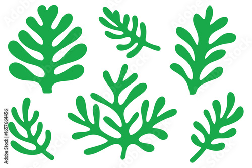 Six simple green seaweed fronds are scattered evenly on a solid white background