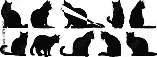 PrintSilhouette of cats in various poses, black feline vector illustration, pet animal graphic design, creative drawing, outline artwork