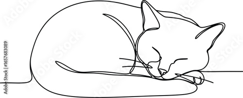 Peaceful sleeping cat captured in elegant single line art style
