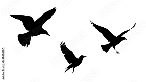 Minimalist Black Silhouette of a Cat feline animal