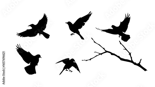 Minimalist black silhouette of a dog animal