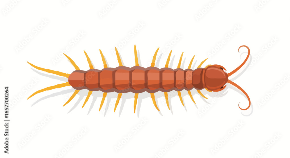 Obraz premium A captivating illustration of a centipede with detailed body segments and legs in striking color, presented on a clean white backdrop to catch the eye