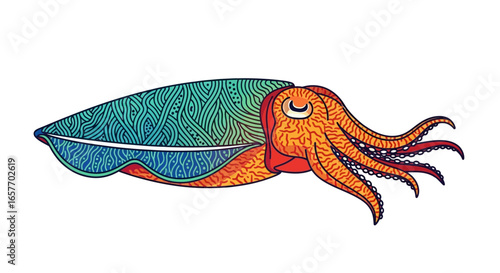 Detailed cuttlefish illustration with intricate shell patterns and vibrant tentacle highlights against a stark white backdrop showcasing ocean