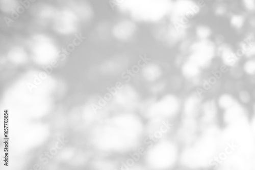 Obraz na plátne Abstract natural tree leaves shadow on white wall background