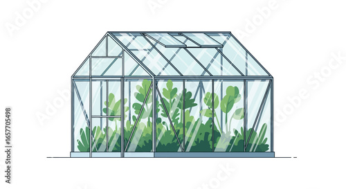 Isolated illustration depicting a greenhouse filled with lush green plants inside on white backdrop providing a clear view of botanical growth