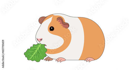 Cartoon Guinea Pig Nibbling on Green Leafy Greens Illustration Against White Background