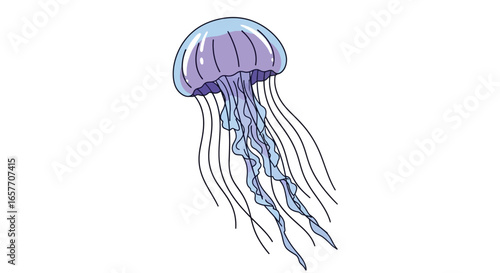 Translucent marine wanderer: An illustration of a jellyfish gracefully drifting through aquatic realms with flowing tentacles