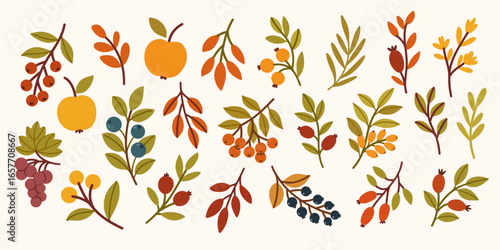 Autumn forest berries, branches, and leaves. 