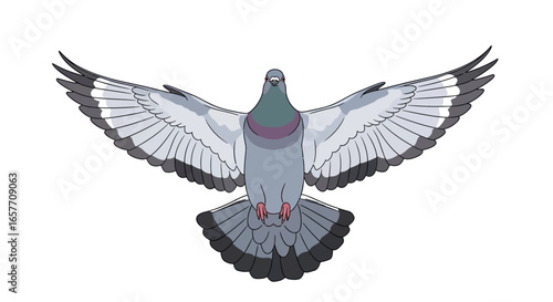 Dove in mid flight, artistic representation showcasing majestic bird, isolated against white canvas, wings outstretched in expressive motion,