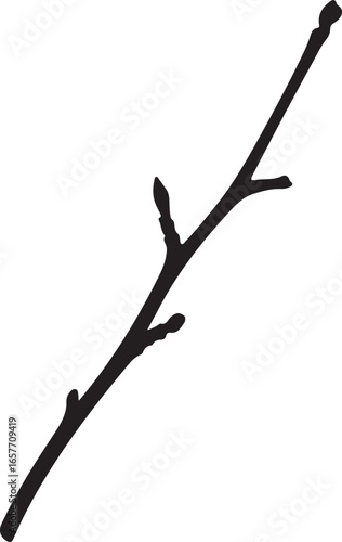 Black silhouette of a bare tree branch with buds on a white background isolated