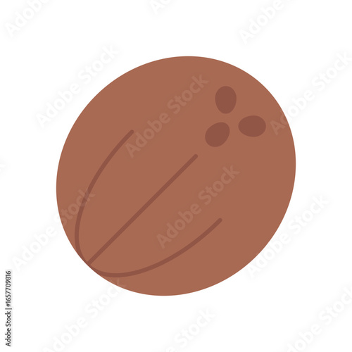 Coconut Tropical Fruit Flat Color Icon: Healthy Food and Fresh Produce