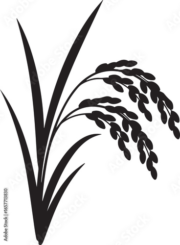 Black Silhouette of a Rice Stalk with Grains and Leaves on a White Background paddy cereal