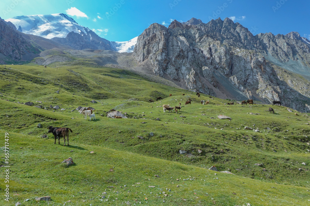 Naklejka premium キルギス_バルスコオン_Dongurme Trek