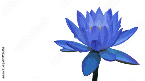blue lotus flower isolated on transparent background
