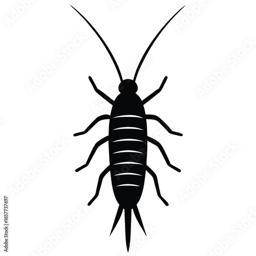 insect vector