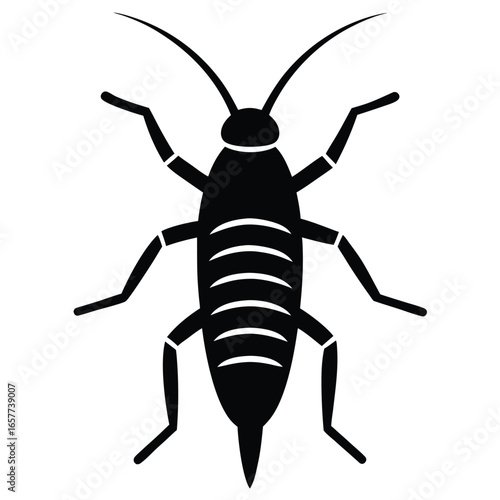insect vector