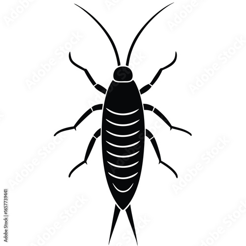 insect vector