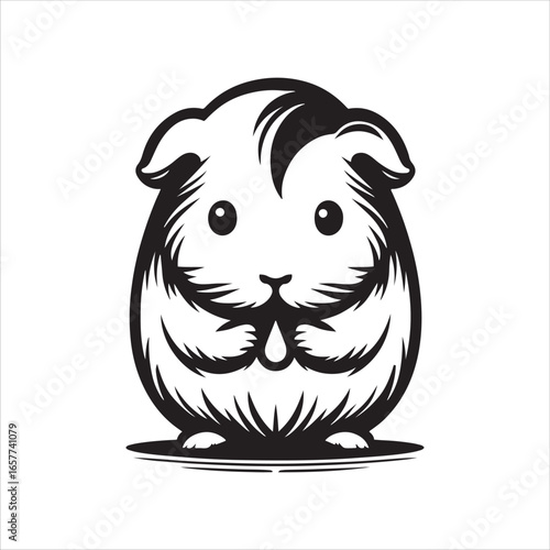 Front View of a Guinea Pig with a Moustache-like Fur Pattern animal rodent