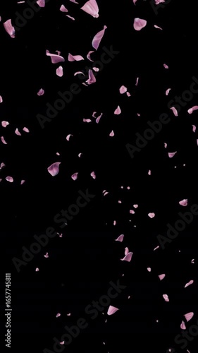 Falling Cherry Blossoms Alpha, Soft sakura petals fall gently, perfect for ads or wedding videos. Alpha Channel for easy editing. Download now to enhance your project