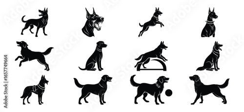 Dog silhouette vector bundle—sporting breeds in jump, sit, run, and fetch poses isolated on white