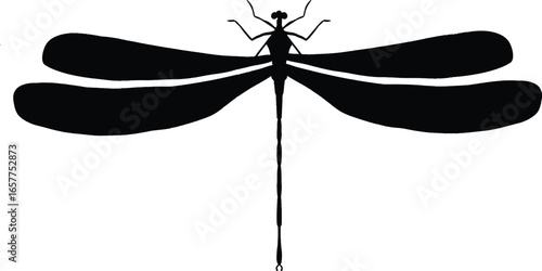 Black silhouette of a dragonfly with spread wings isolated on white background isolated on transparent background
