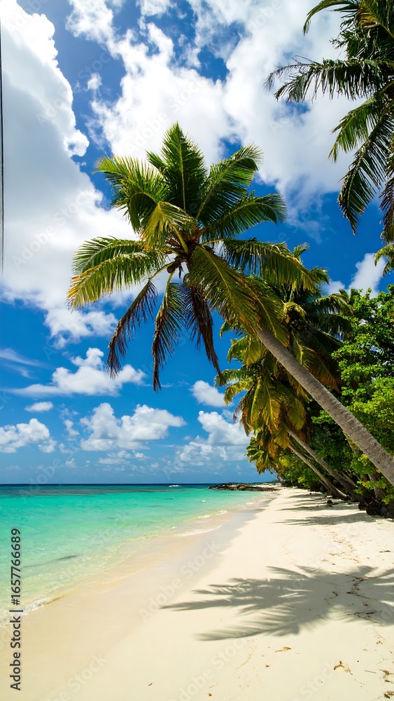 Obraz premium Idyllic tropical beach scene; white sand, turquoise water, leaning palm trees, blue sky, fluffy clouds