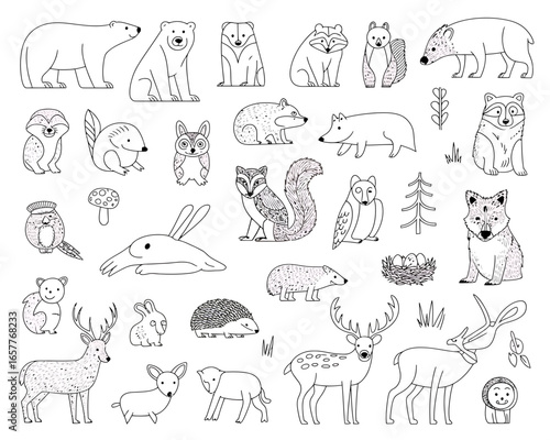 Charming hand drawn forest animals and nature elements