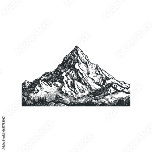Detailed Sketch of a Majestic Mountain Peak Surrounded by Trees