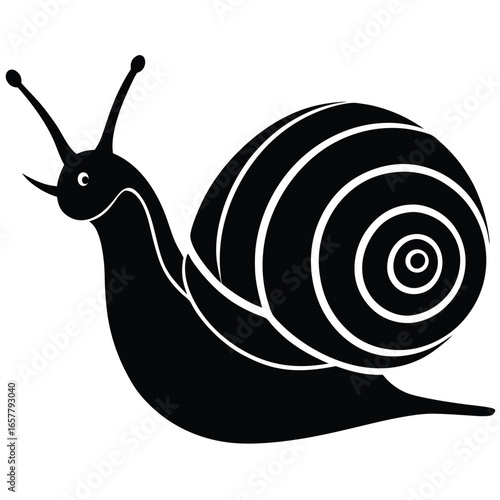 snail vector