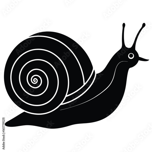 snail vector