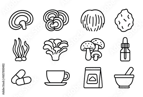 Medicinal Mushroom Icons. Outline icon set of medicinal mushrooms: reishi, turkey tail, lion’s mane, chaga,