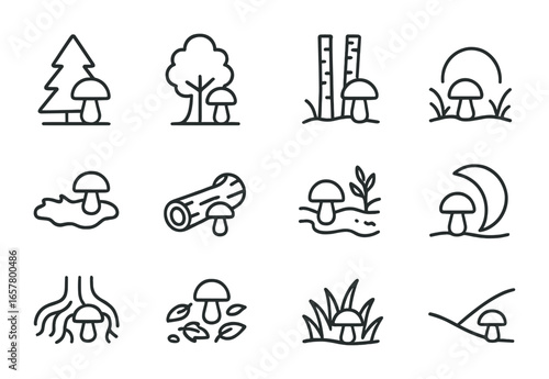 Mushroom Habitat Icon Set. Outline icon set of mushroom habitat types: pine forest, oak forest, birch grove,